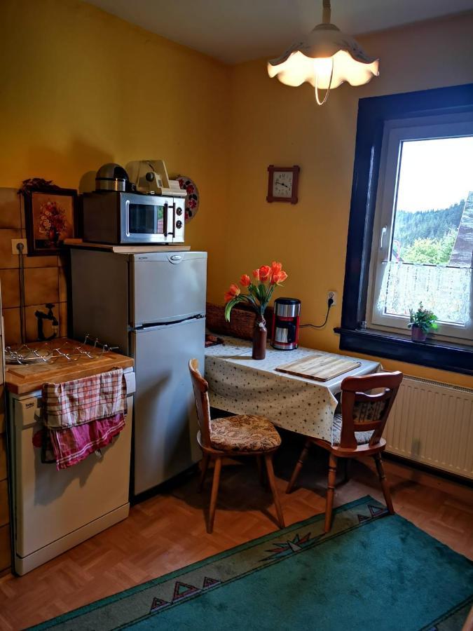 Gehlberger Landhaus Am Schneekopf / Ferienwohnung Suhl Exterior foto